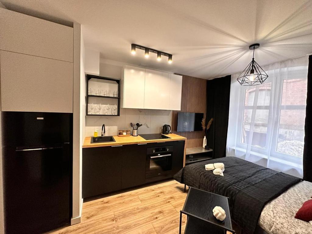 Kosciuszki Cozy Centrum Apartment